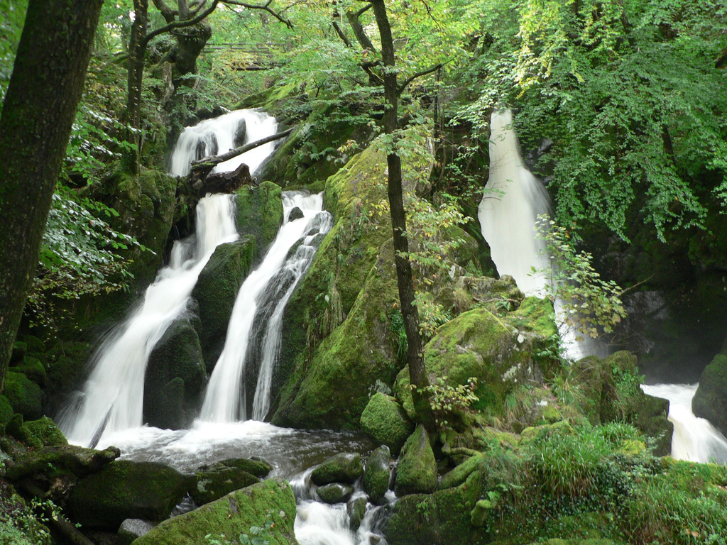 Visit Stock Ghyll Force Waterfall in Ambleside whilst staying at Skelwith Fold