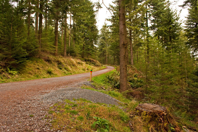 Visit Grizedale Forest in Hawkshead whilst staying at Skelwith Fold